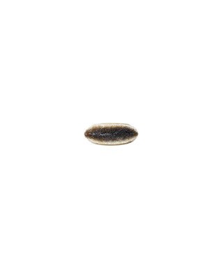 193 Angled Foundation Brush